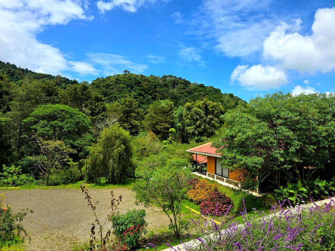 Hotel De Montana Suria ซาน เจราร์โด  เด โดตา ห้อง รูปภาพ